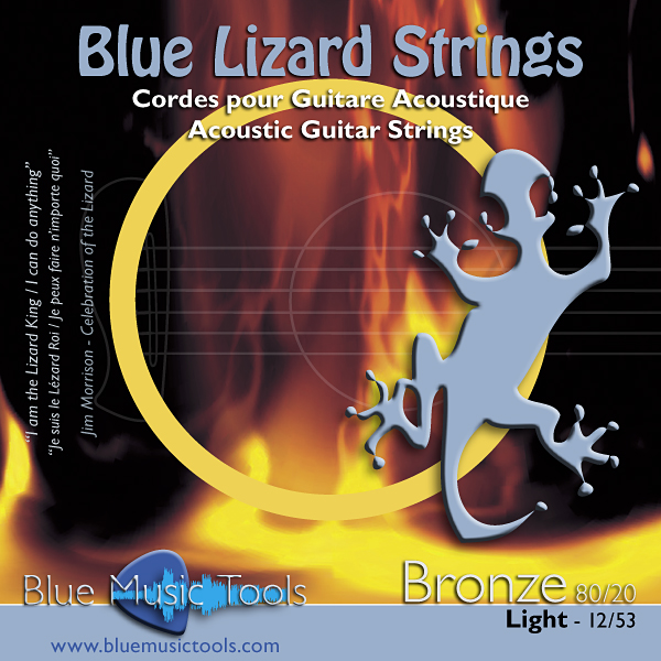 Cordes bronze 80/20 pour guitare folk - tirant light 12-53